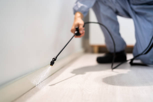 Licensed Termite Control service in Wyoming, DE - Nex Pest Control