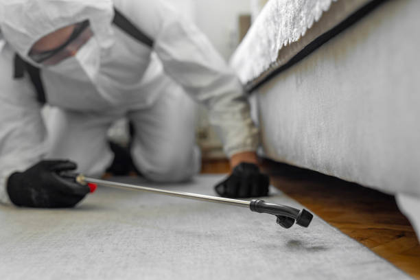 Professional Termite Control technician working in Wyoming, DE