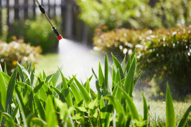 24/7 Emergency Termite Control experts in Wyoming, DE
