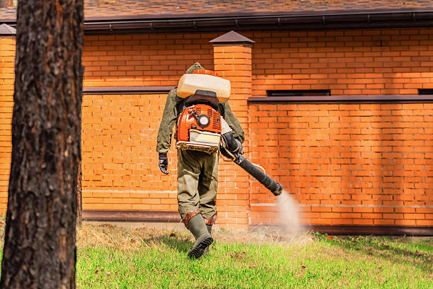 Trusted Ant Control service in Wyoming, DE - Nex Pest Control